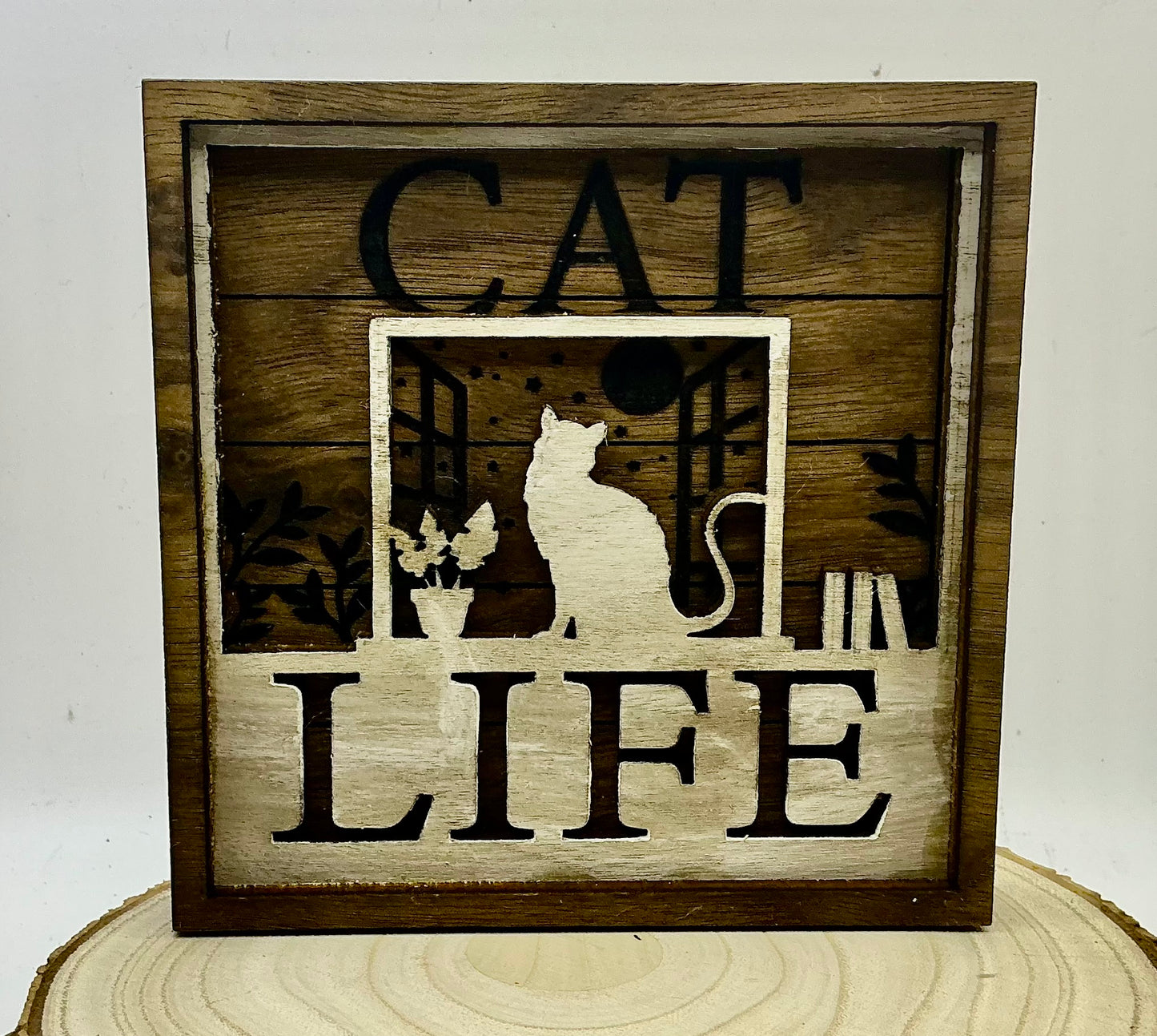 Cat life shelf sitter