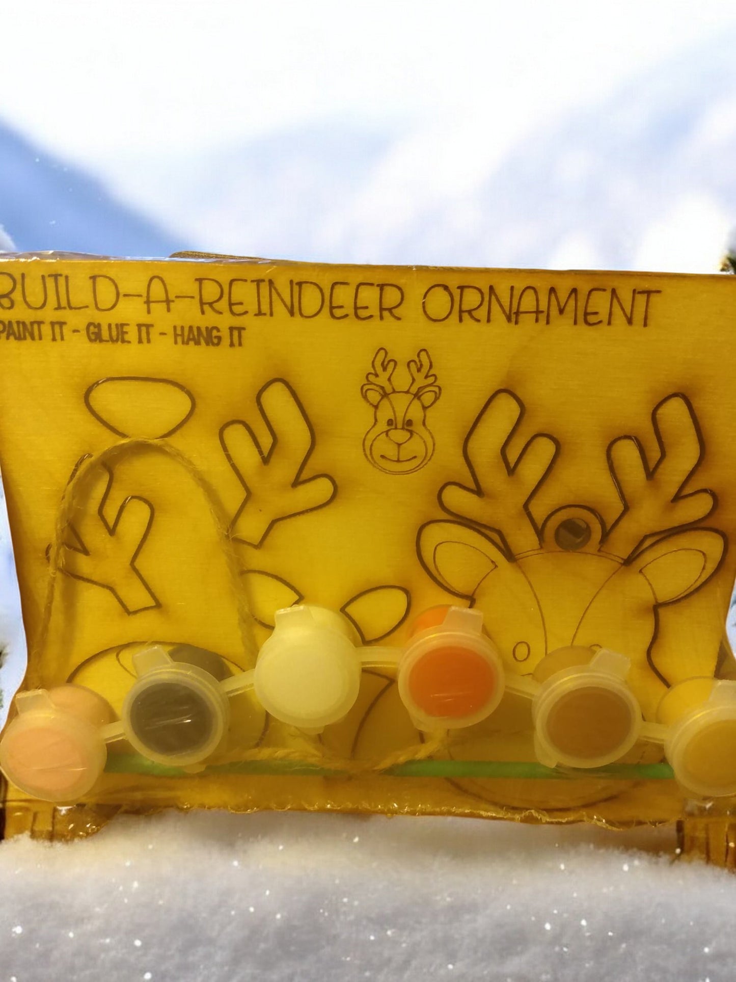 Paint kit, ornament, twine/magnet, paint and paint brush